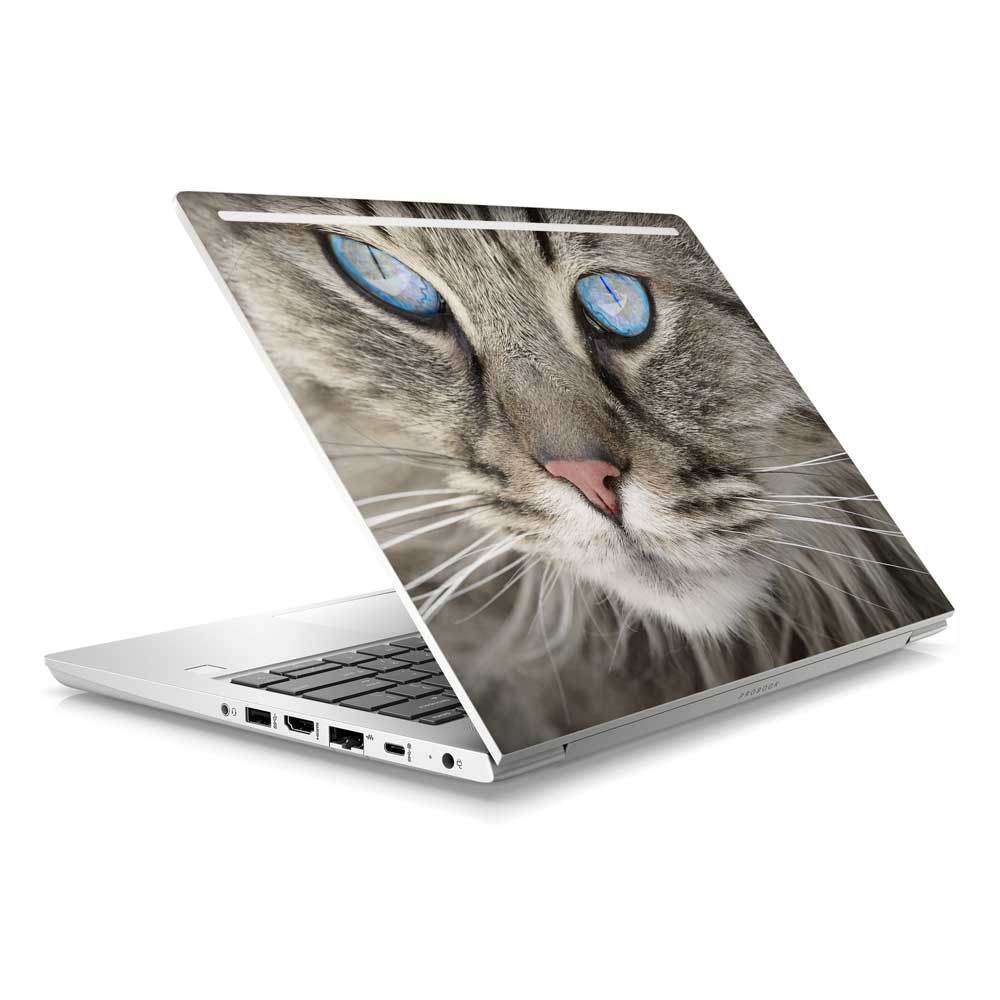 Ol' Blue Eyes HP ProBook 430 G6 Laptop Skin