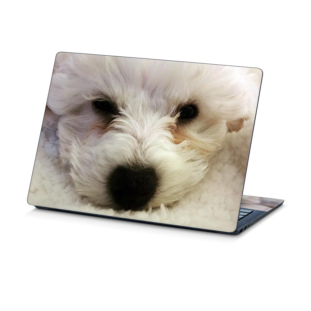 Bichone Frise Puppy Microsoft Surface Laptop 5 13.5 Skin