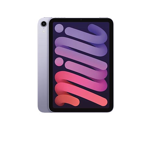 Apple iPad Mini Skins
