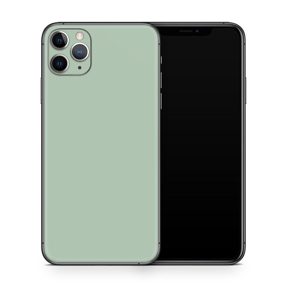 Sage iPhone 11 Skin