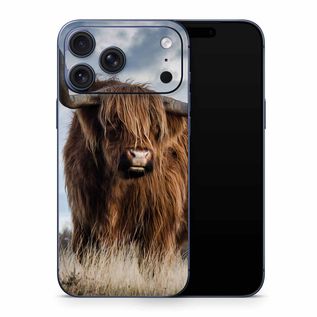 Highland Longhorn iPhone 17 Skin