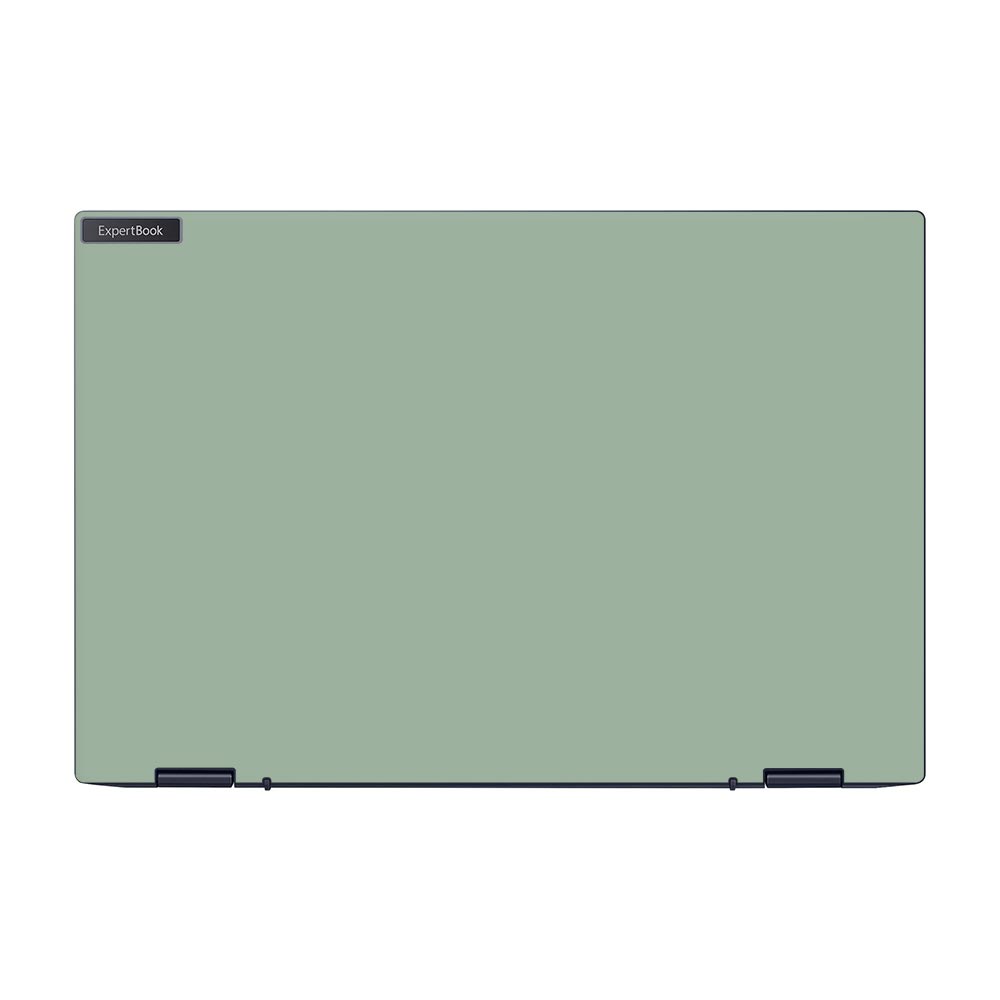 Sage ASUS ExpertBook B5 Flip Skin