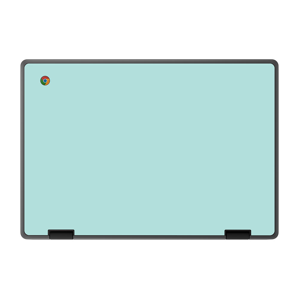 Mint ASUS Chromebook Flip CR1