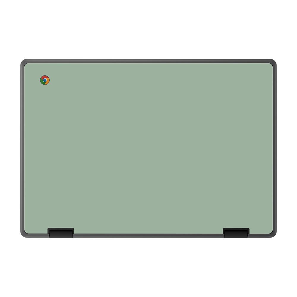 Sage ASUS Chromebook Flip CR1