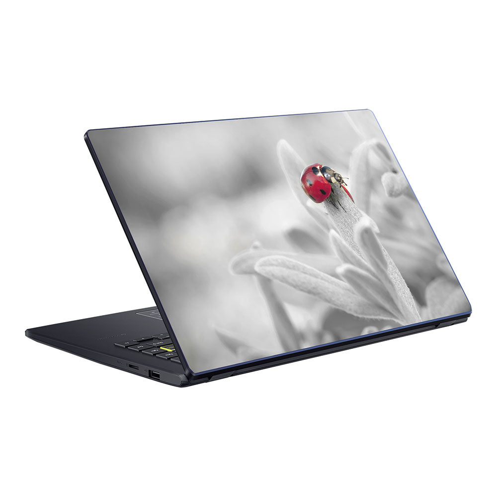 Ladybird ASUS E410 Skin