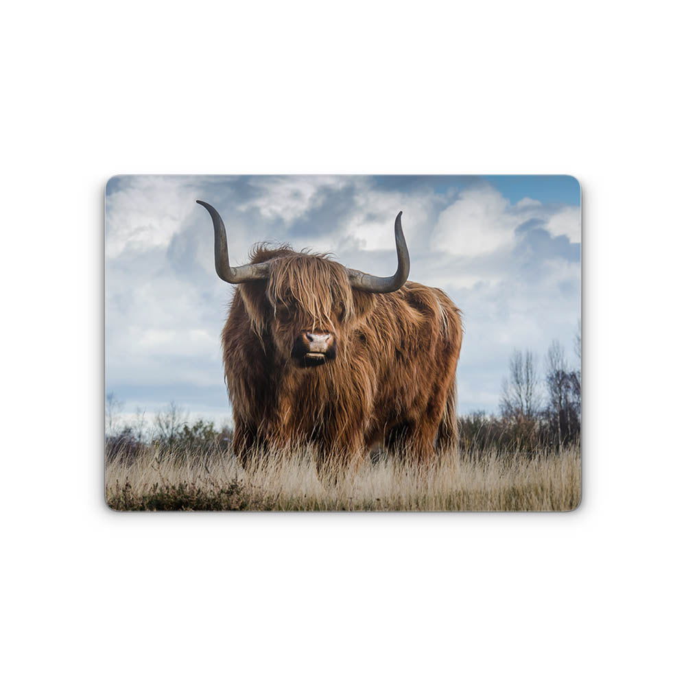 Highland Longhorn MacBook Neo 13 Skin