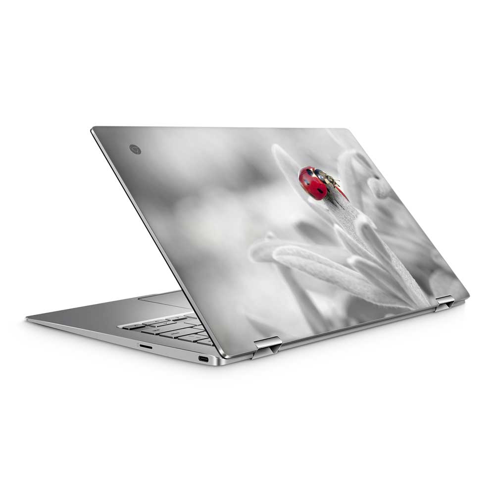 Ladybird ASUS Chromebook C434TA Skin
