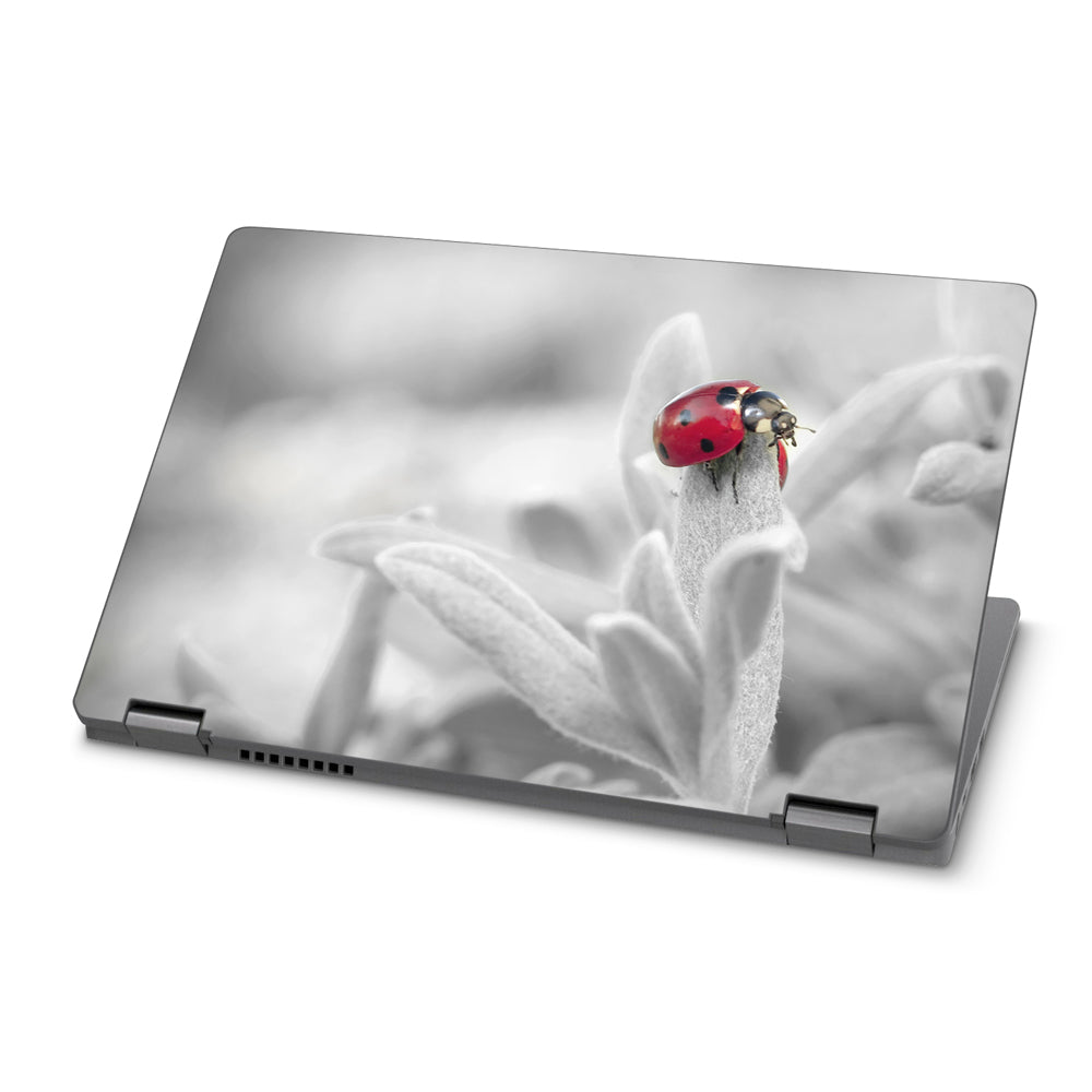 Ladybird Dell Latitude 5300 2-in-1 Skin