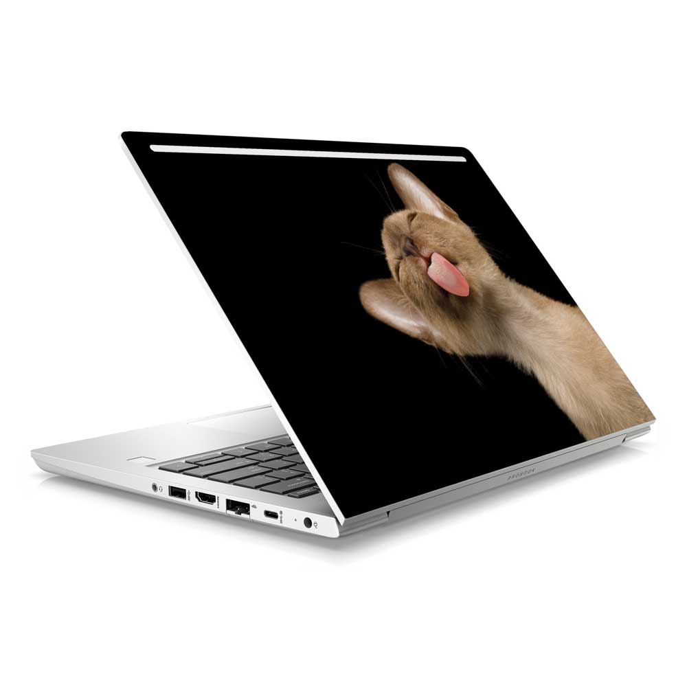 Lickety Split HP ProBook 430 G6 Laptop Skin