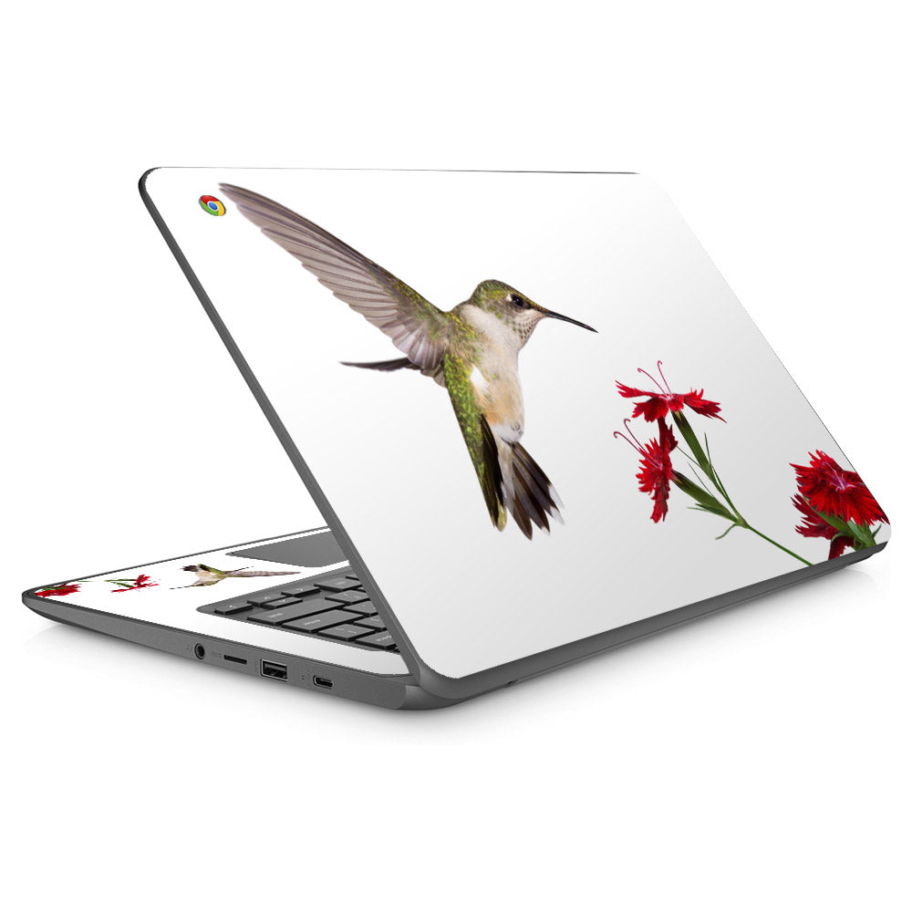 Hummingbird HP Chromebook 14 Skin