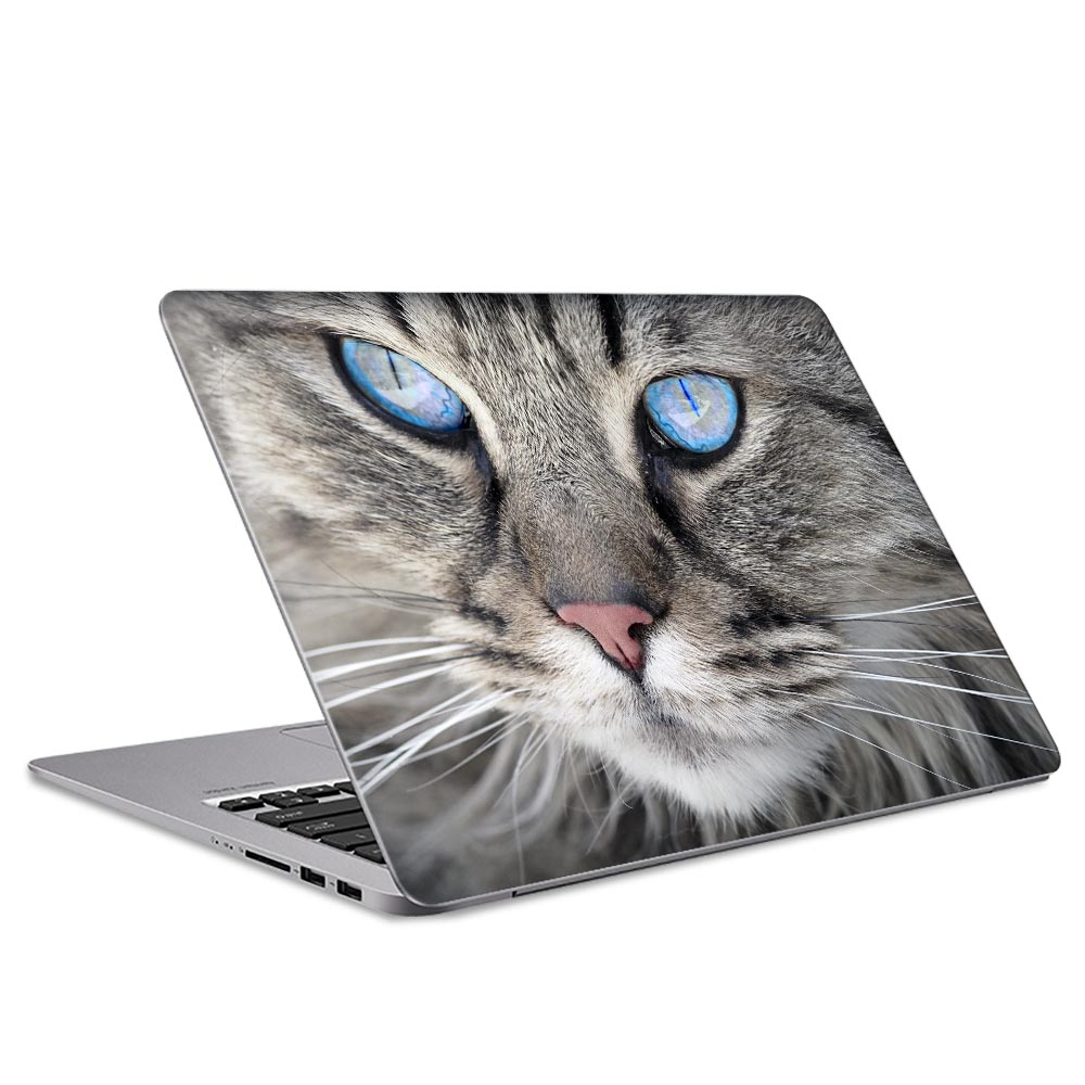 Gray Persian Laptop Skin