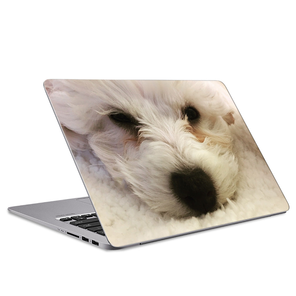 Bichon Frise Puppy Laptop Skin