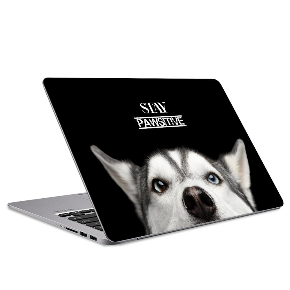 Stay Pawsitive Laptop Skin