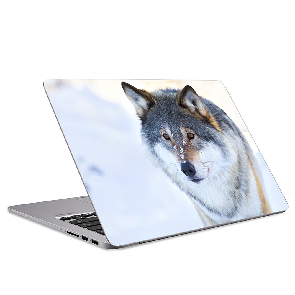 Wolf Portrait Laptop Skin