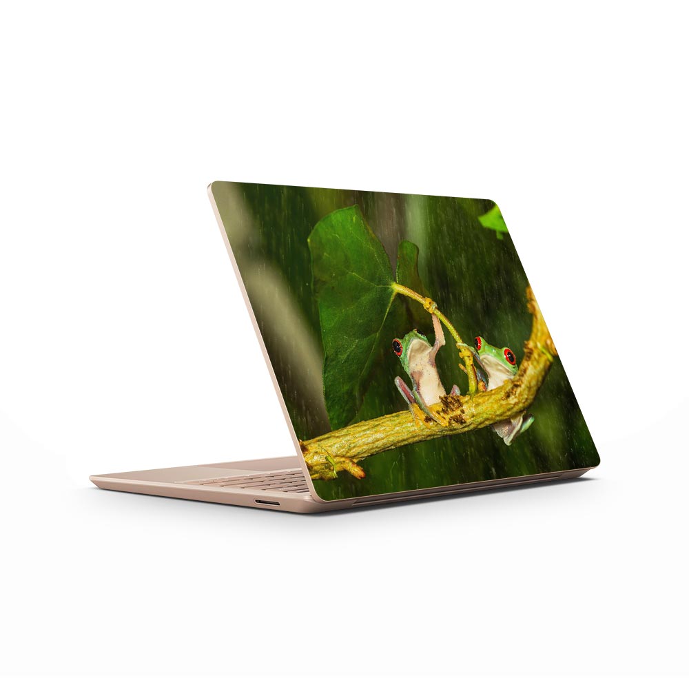 Frog Umbrella Microsoft Surface Laptop Go Skin